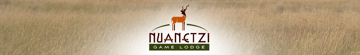 Nuanetzi Game Lodge
