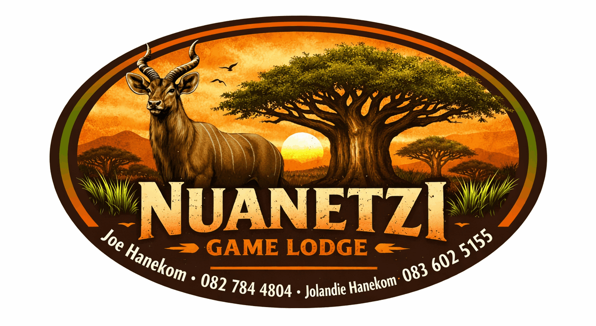 nuanetzi logo
